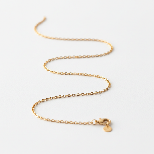 Delicate gold chain necklace